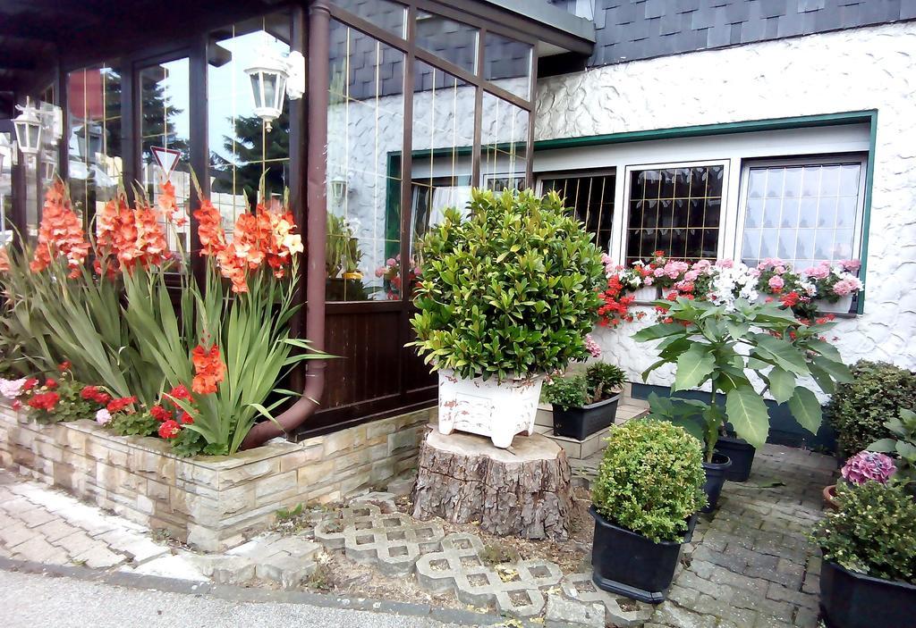 Zur Kastanie Hotel Mülheim an der Ruhr Екстериор снимка